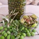 Read more about the article 