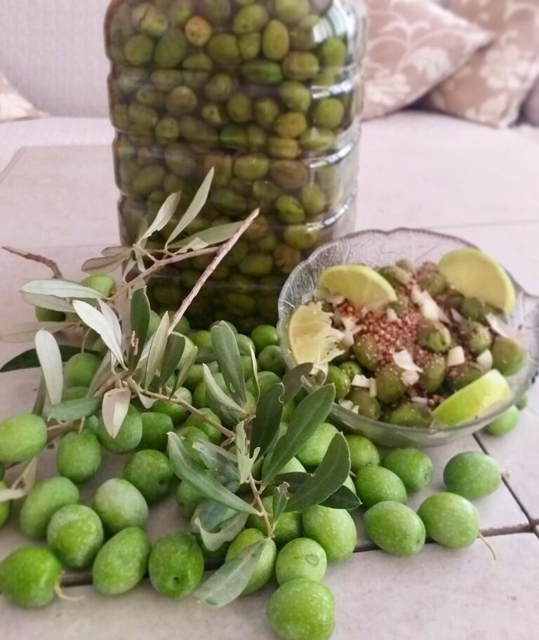 Read more about the article 