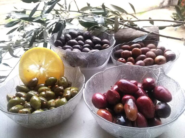 Read more about the article Ελιές & Ελαιόλαδο – Ειδική Προσφορά