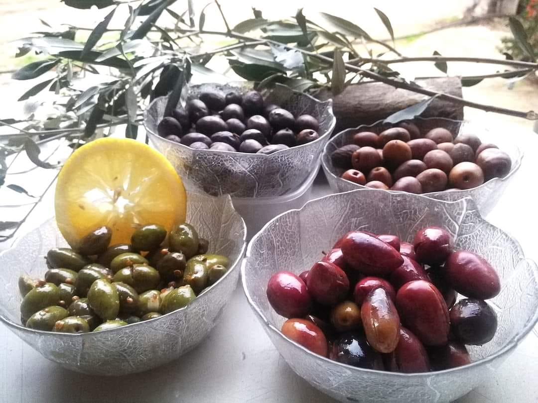 You are currently viewing Ελιές & Ελαιόλαδο – Ειδική Προσφορά