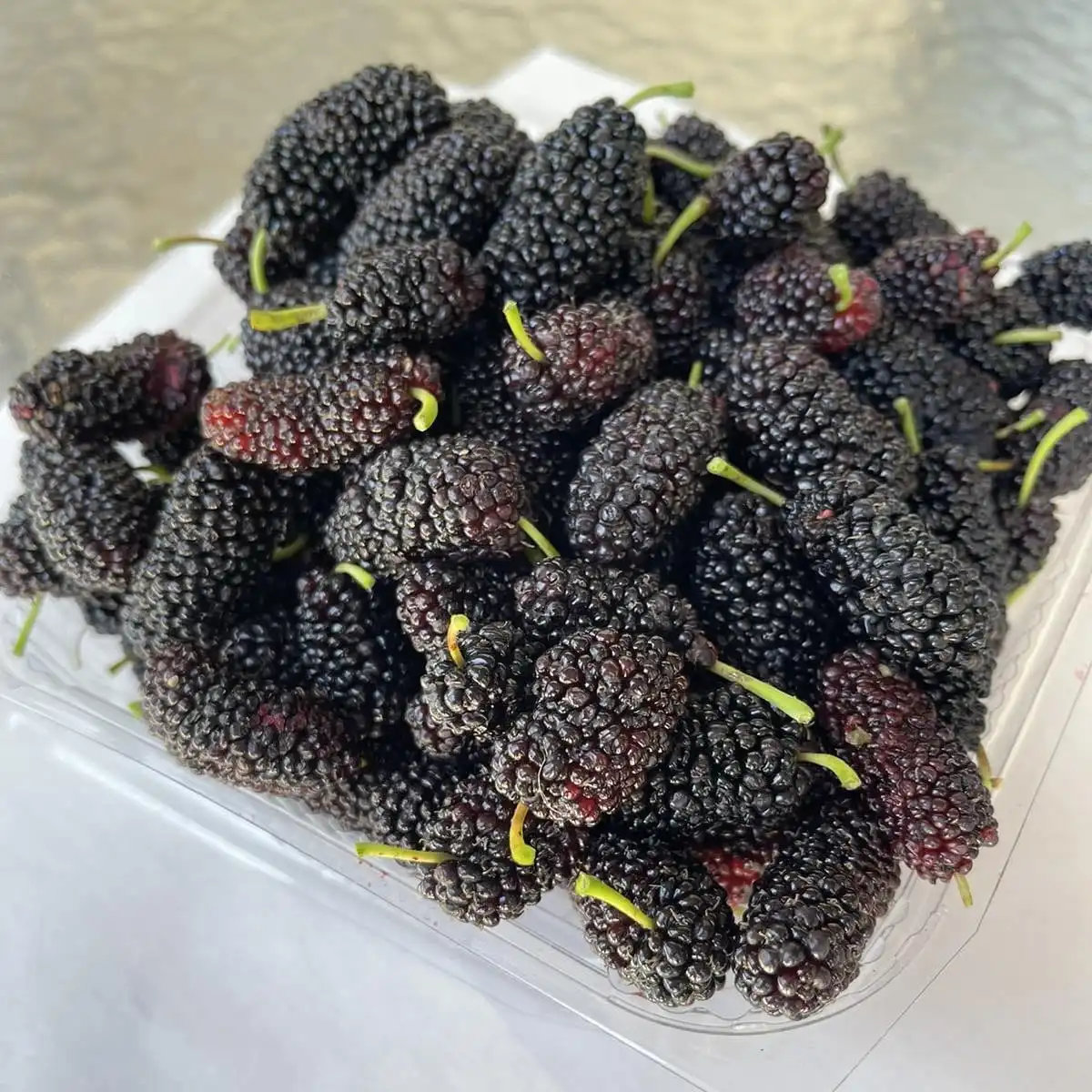 You are currently viewing 