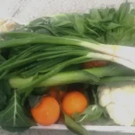 Read more about the article 