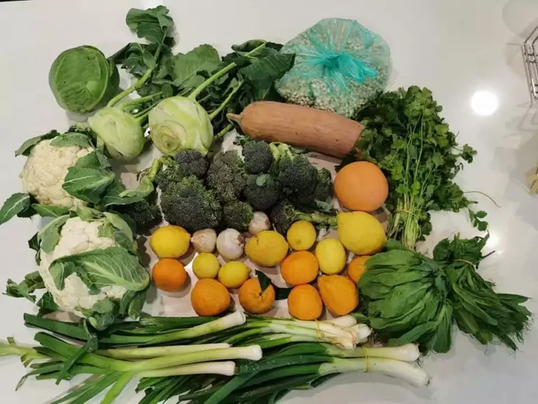 Read more about the article 