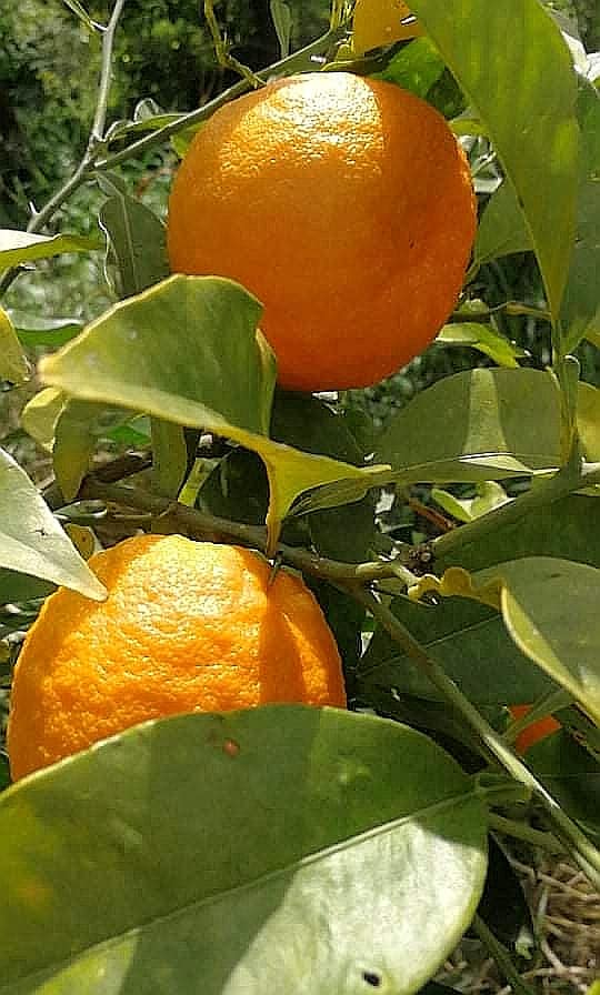 You are currently viewing 