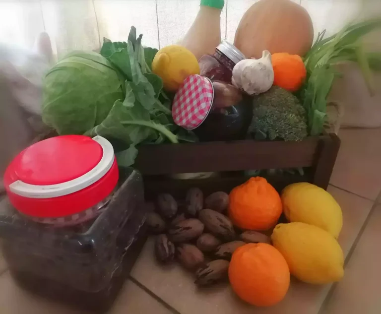 Read more about the article 