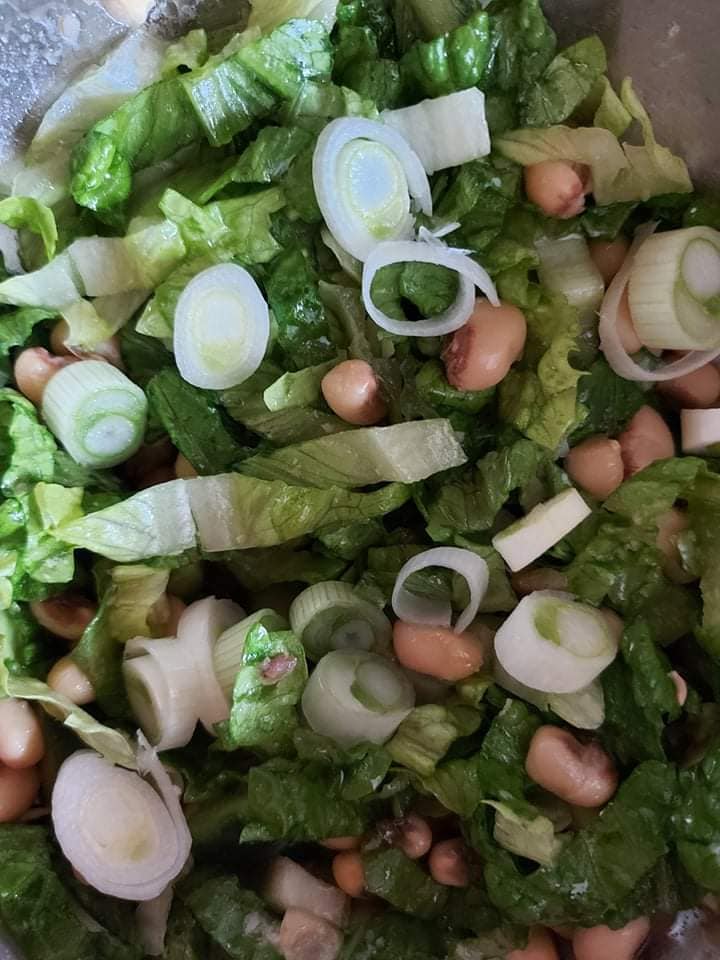 Read more about the article 