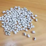 Read more about the article 