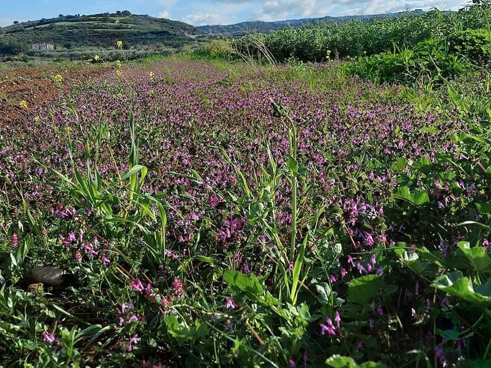 You are currently viewing 