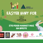 Read more about the article 