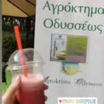 Read more about the article 