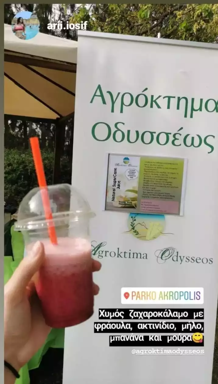 Read more about the article 