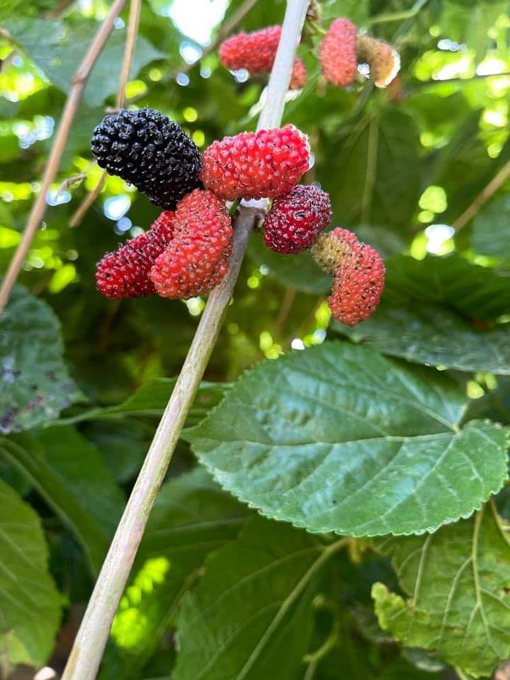 Read more about the article 