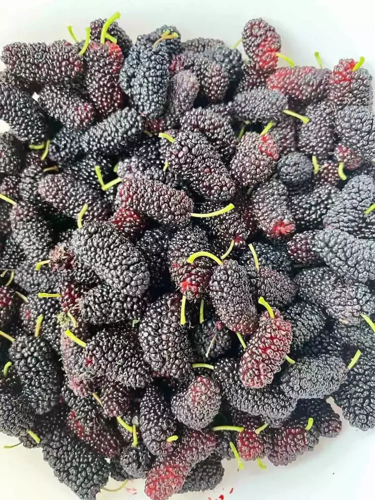 Read more about the article 