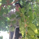 Read more about the article 