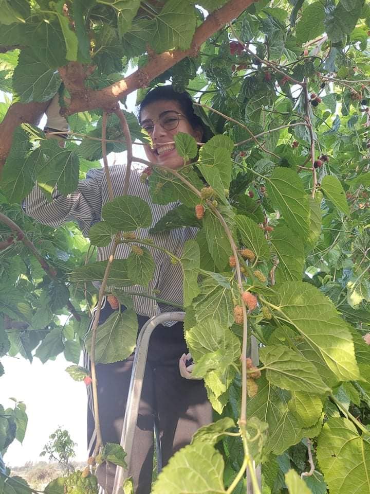 Read more about the article 