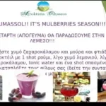 Read more about the article 