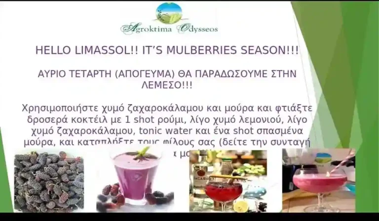 Read more about the article 