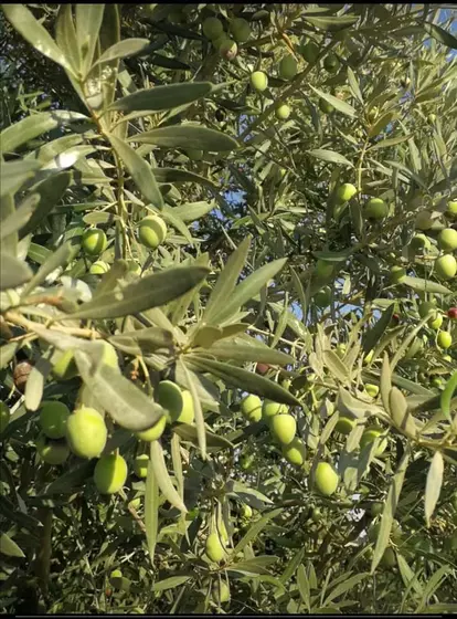 Read more about the article Τί κάνουμε αυτές τις μέρες;